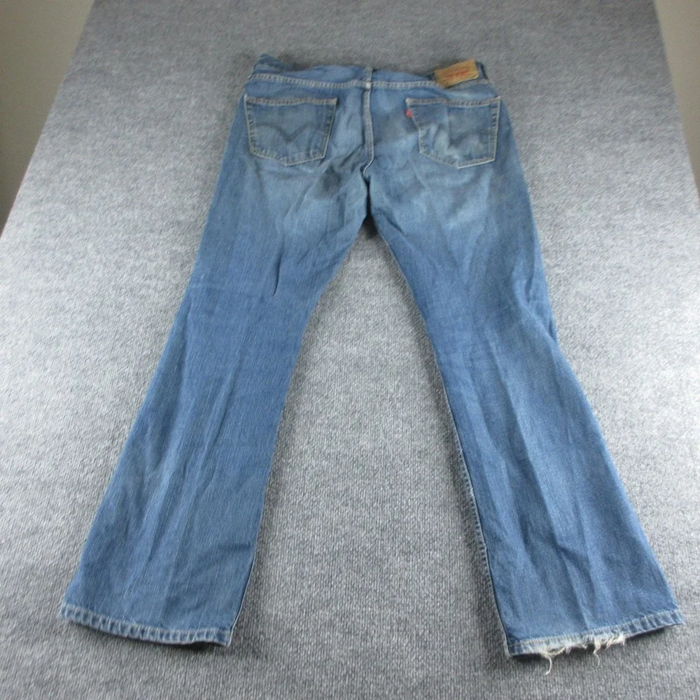 Levis levis 527